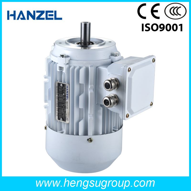 Ie2 Three Phase Aluminium Housing Induction Electric/Electrical AC Motor (Asynchronous)