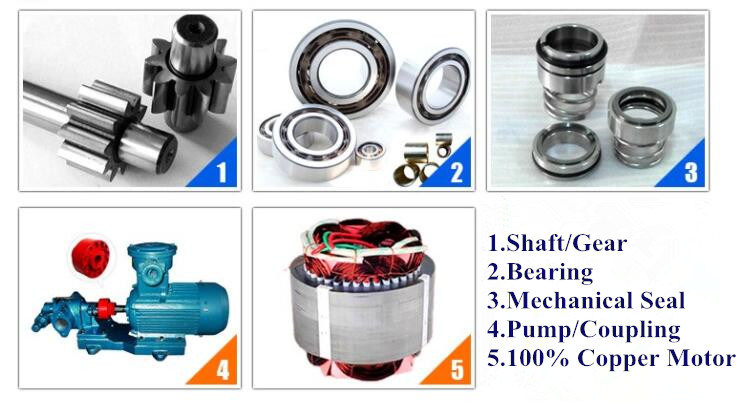 High Temperature Gear Oil Pump/Lube Oil Pump/Edible Oil Pump/Chemical Oil Pump