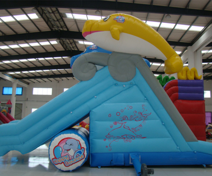 Large Inflatable Slide for Play Outdoor