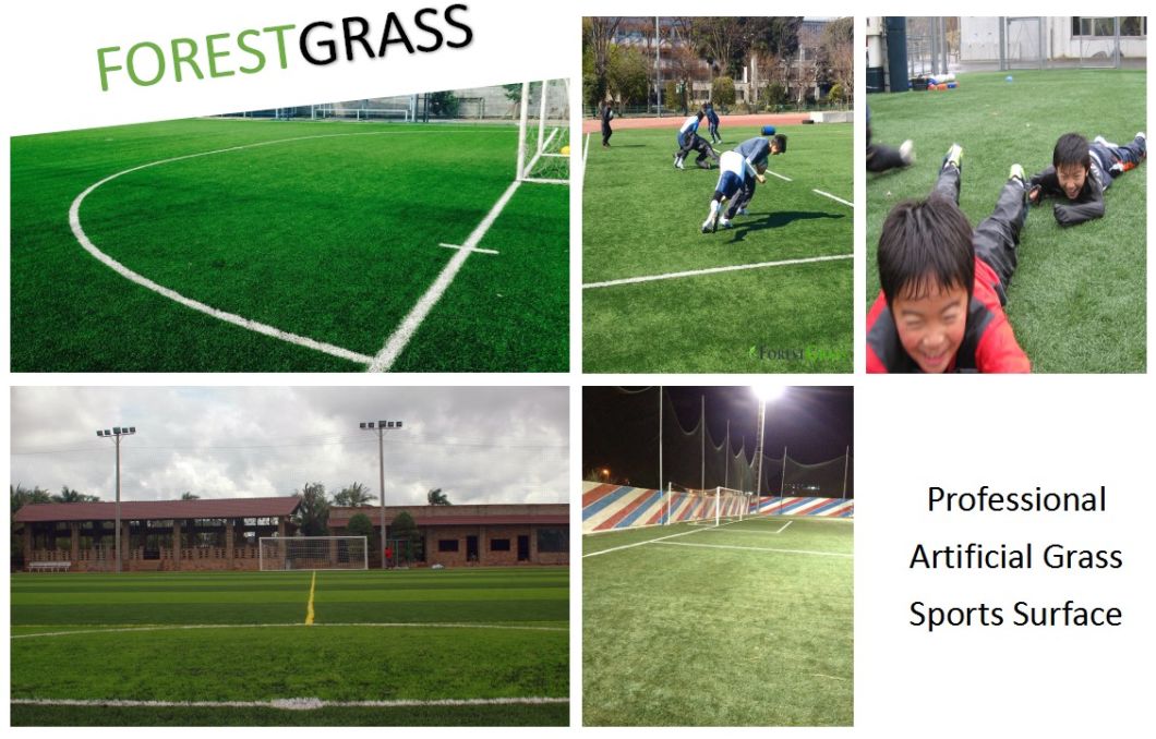 Cheap Thick Artificial Grass Turf for Football Field (STO)