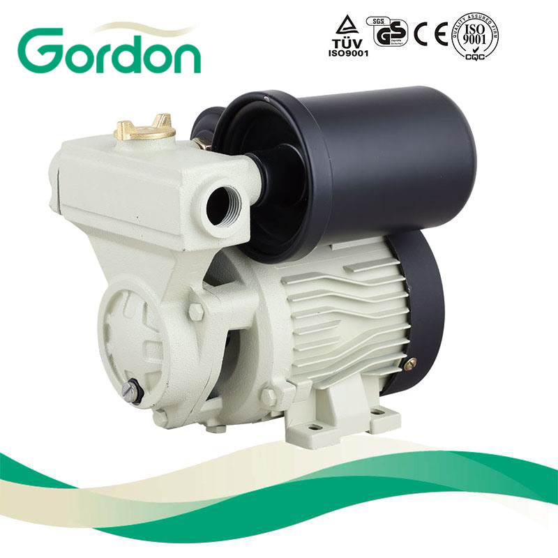 Small suction Water Pump with Pressure Sensor for Booster System