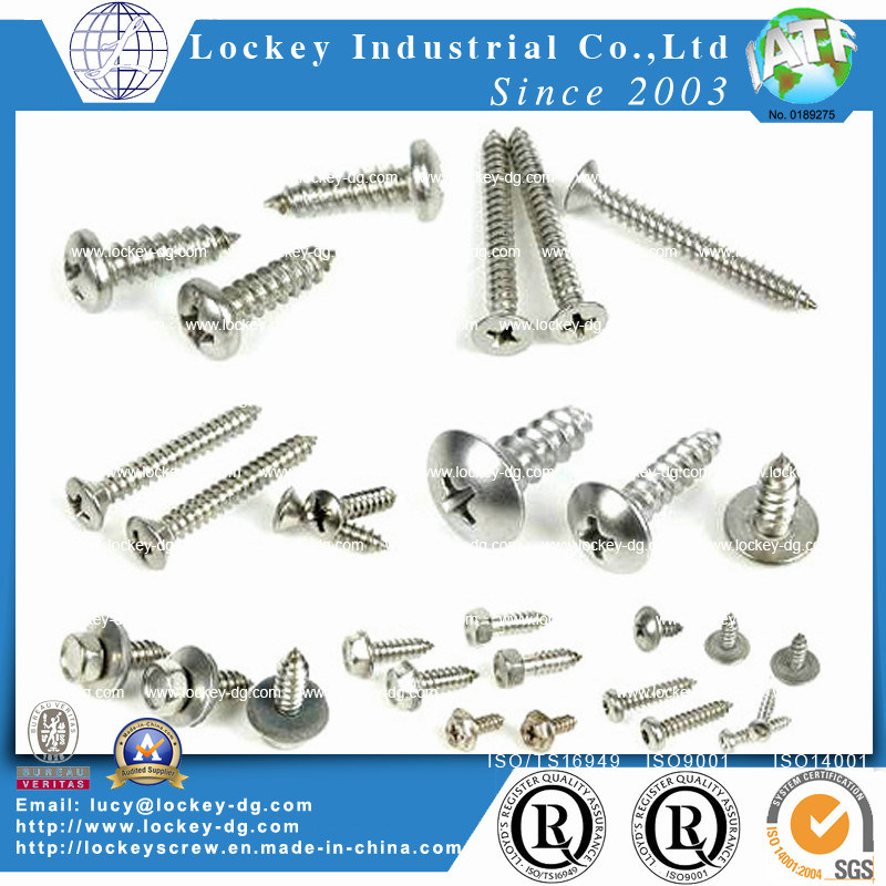 Hex Socket Head Self Tapping Screw Deck Screw