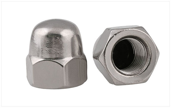 Stainless Steel Slotted Hex Cap Nut