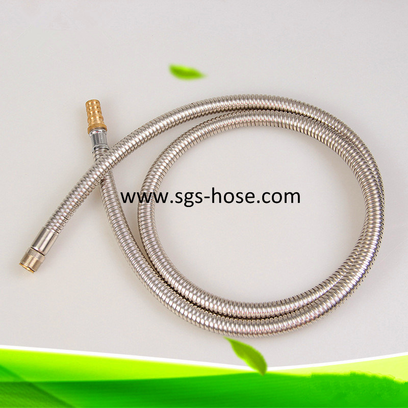 Ce Approved Stainless Steel Flexible Shower Hose