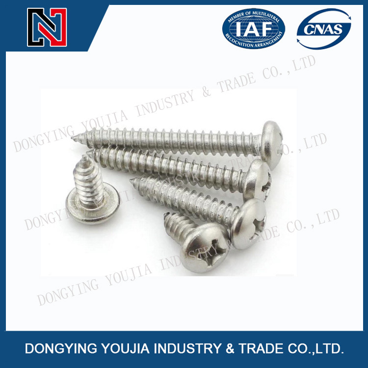 DIN7981 Stainless Steel Cross Recessed Pan Head Tapping Screw