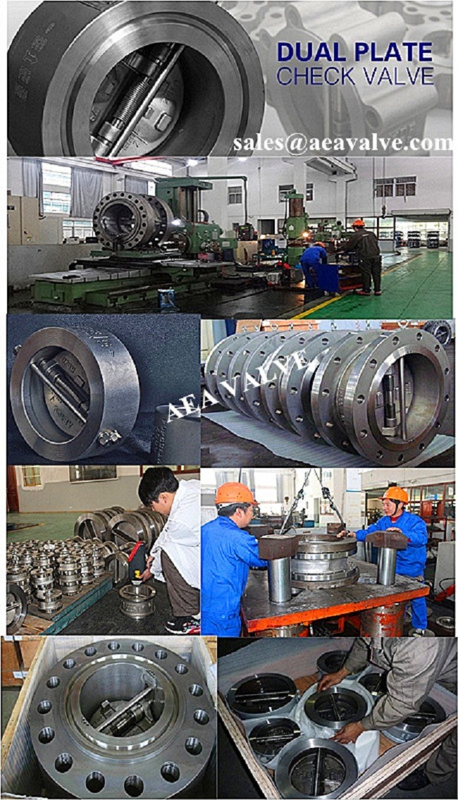 Horizontal Installation API 594 Carbon Steel Dual Plate Lug Type Wafer Check Valve with Stainless Steel Hinge Pin