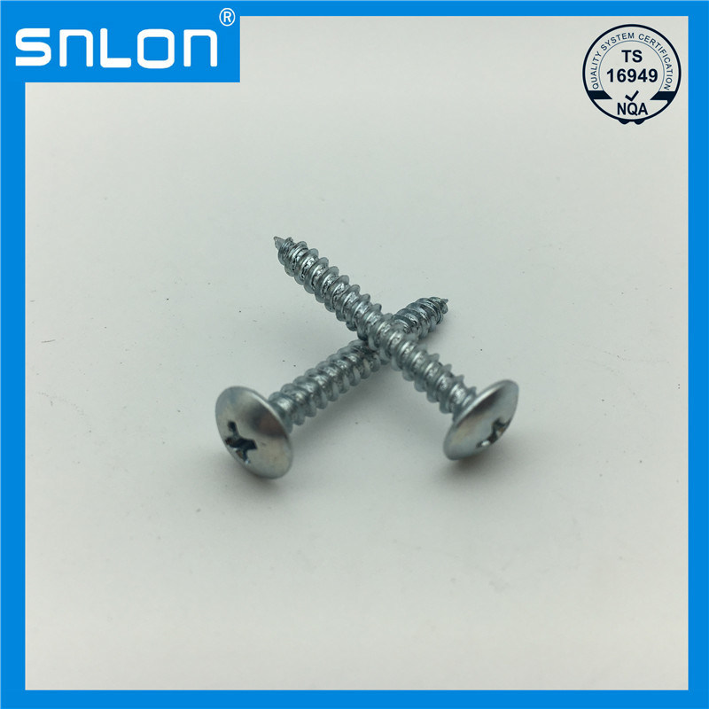 Self Tapping Screw Wood Screws for Vehicle