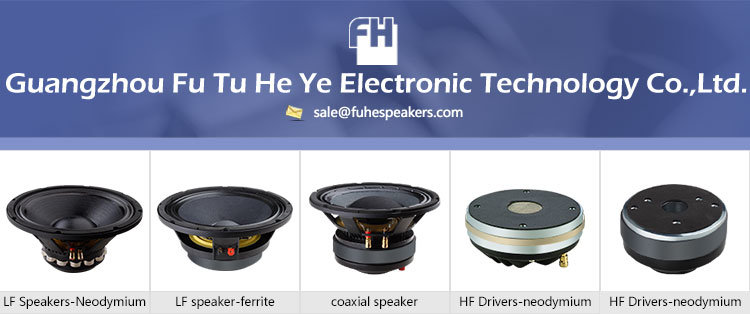 15inch W1510045 Full Range Stage Speaker