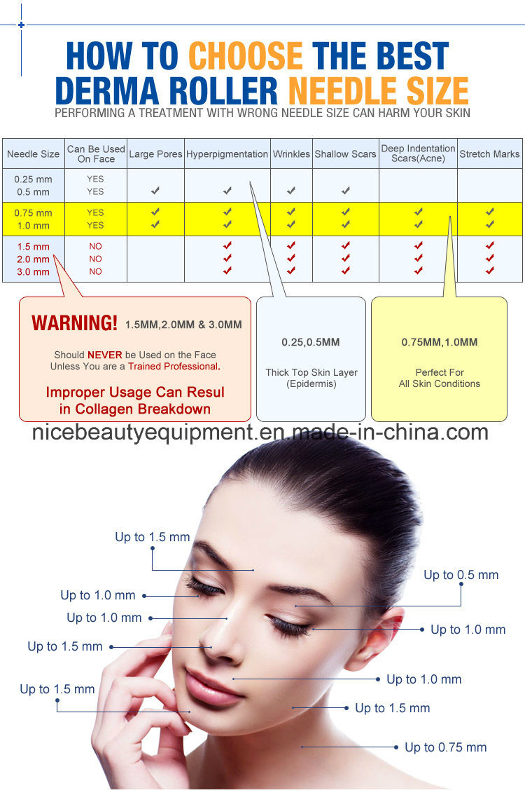 Microneedle 3 in 1 Derma Roller with Titanium