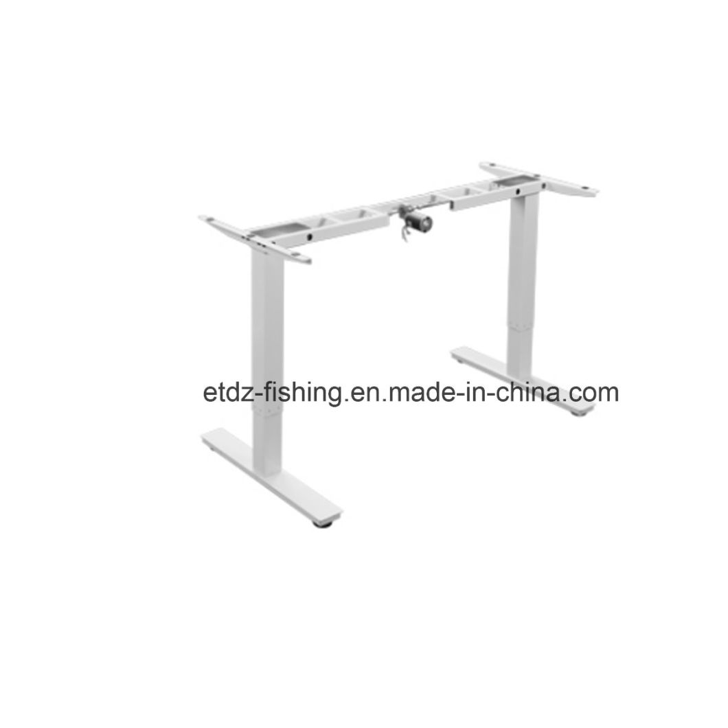 Executive Office Modern Desk Height Adjustable Computer Desk