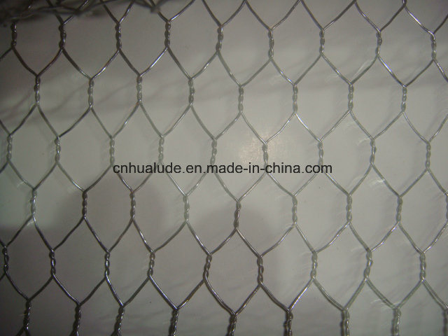 Hot Dipped Heavy Galvanized Hexagonal Chicken Wire Mesh