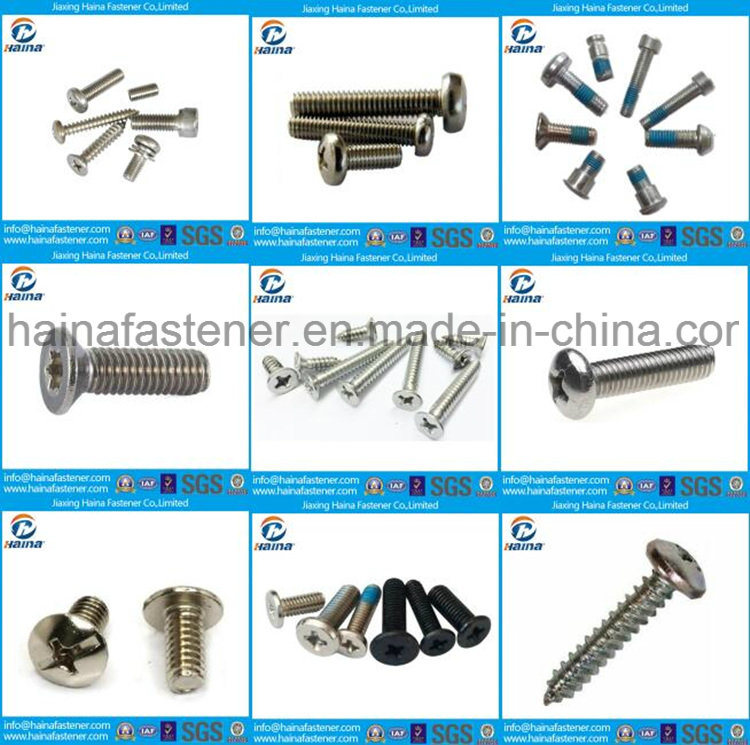 Stainless Steel Pan Head Screw, Cross Recess Machine Screws with Cross Recess GB818