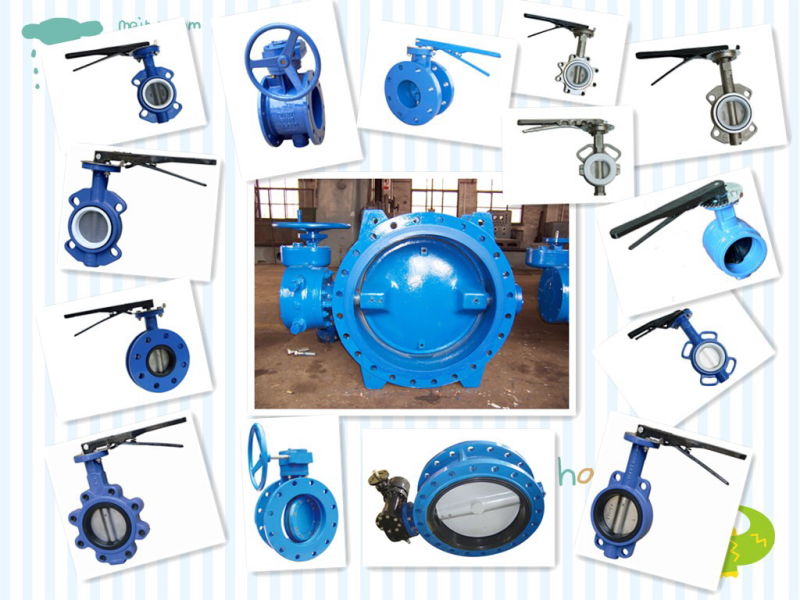 Butterfly Valve Wafer Lug and Flanged Type Concentric Valve or Double Eccentric Valves Pn10 Pn16 Pn25