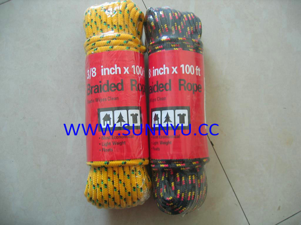 Customized Strong Colored Plastic Solid Braided Rope