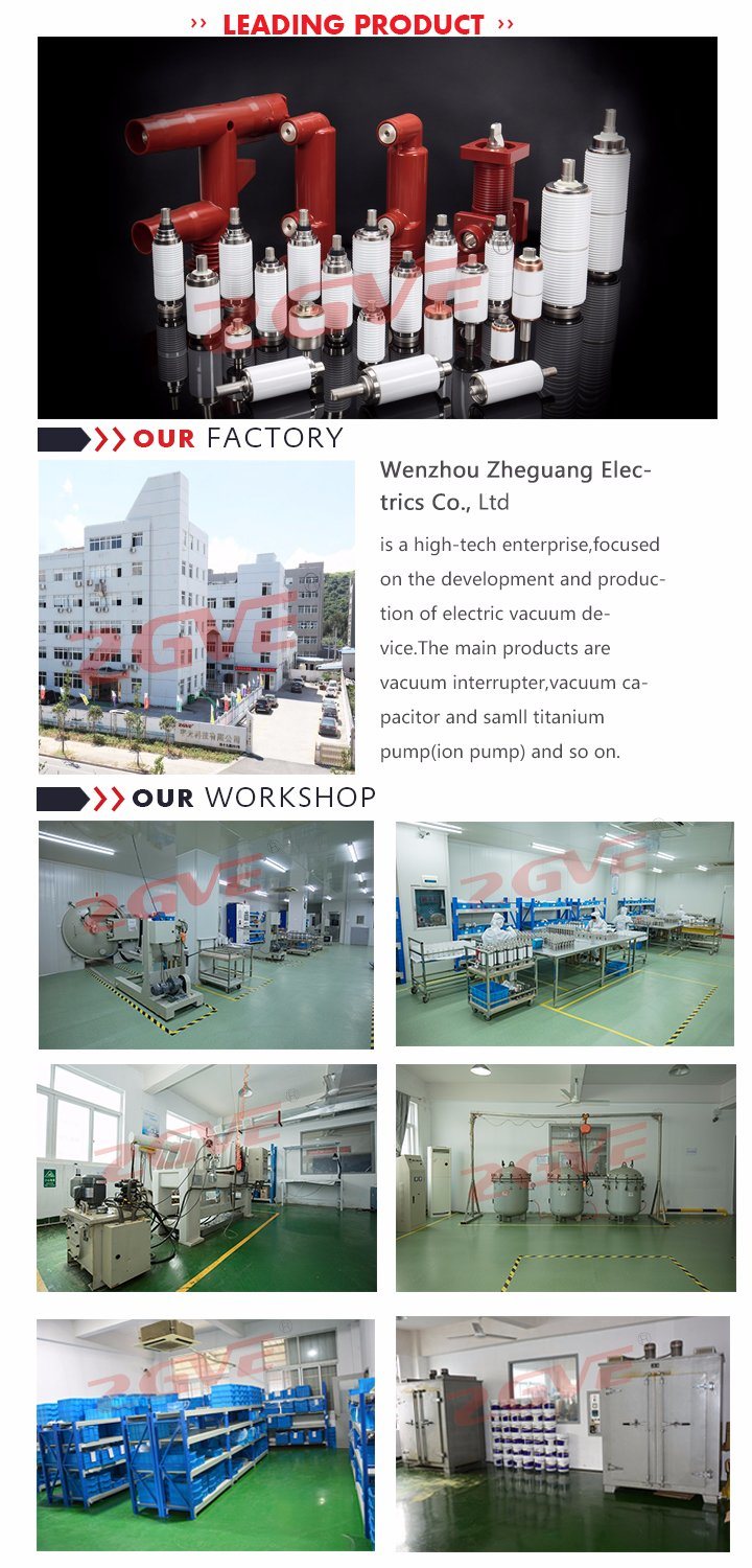 Zn28 Vs1 Vacuum Interrupter for Td 1250/12-20