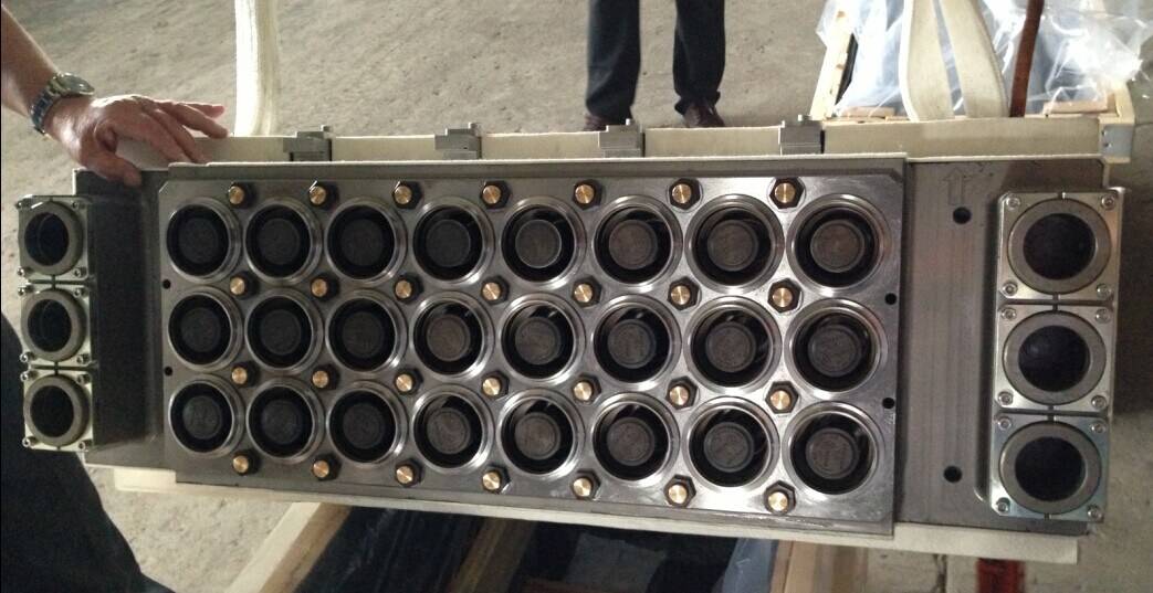 Pet Water Cup Mould for Thermoforming Machine Pptf-70t