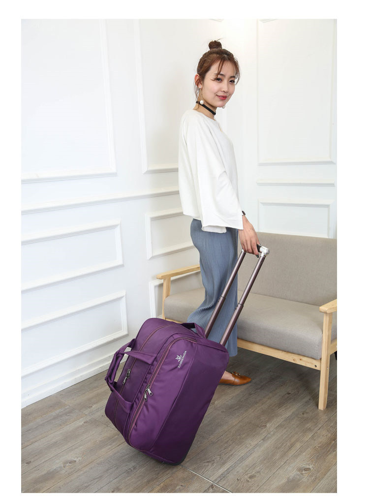 Business Travel Trolley Bag with Padded Laptop Compartment