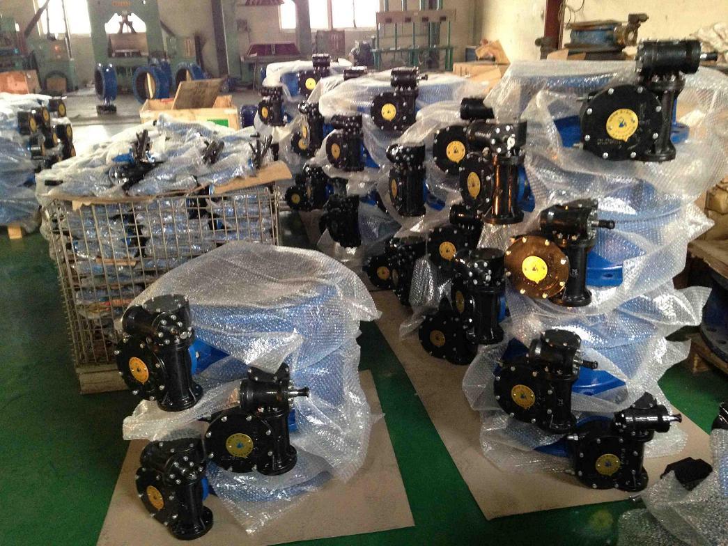 Dn700 API/JIS10K Wafer Type Butterfly Valve with Gear Actuator