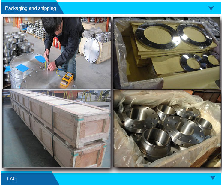 Pad Type Forged Carbon Metal Steel Pipe Flange