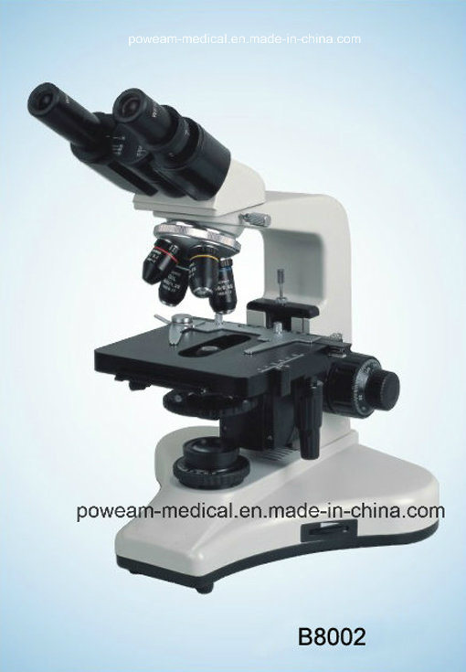 100X Binocular Biological Microscope (B8002)