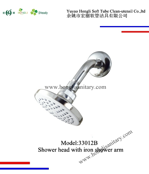 33012 Chrome Plated Shower Head with Stainless Steel Arm