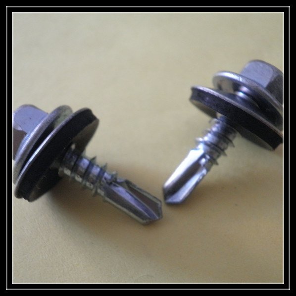 Leite High Quality Stainless Steel 304 316 Cross Countersunk Head Wood Screw