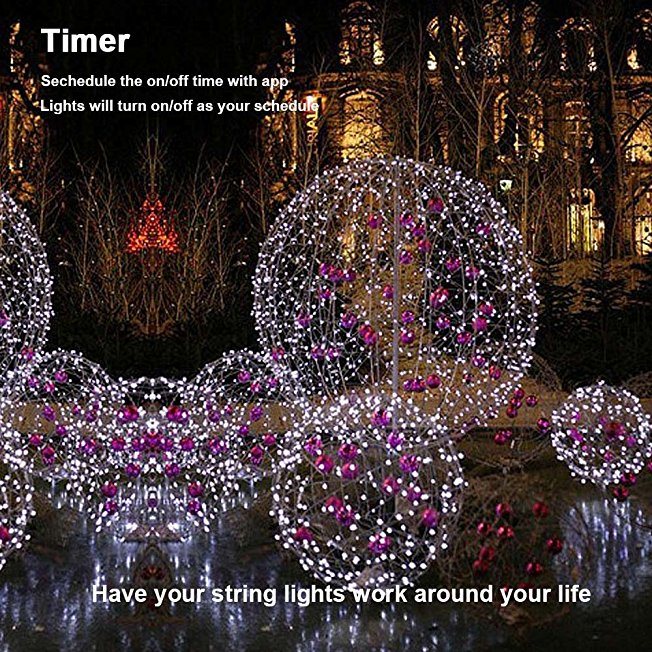 LED Fairy Decorative Lights 8 Modes for Bedroom Garden Party Patio Party Wedding Romantic Atmosphere Festival Lights (CL300)