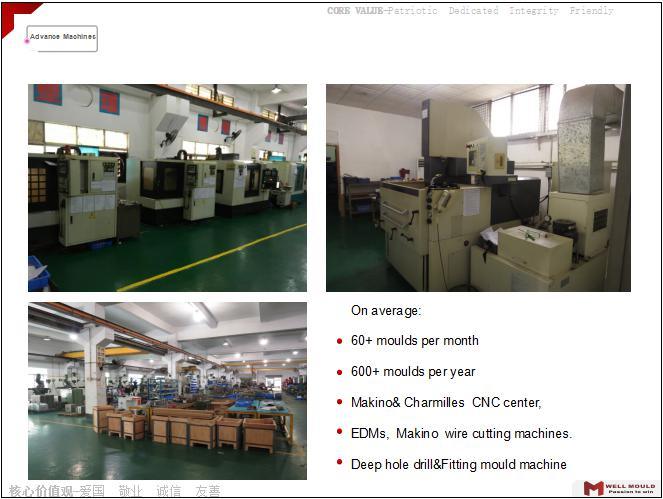 Precision Home Appliance Mould for Homeused Injection Mould