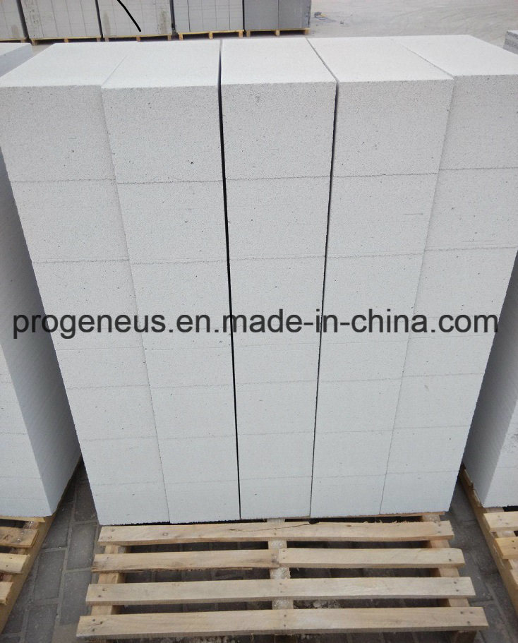 Progeneus AAC/ALC Wall Blocks / Autoclaved Aerated Concrete Block