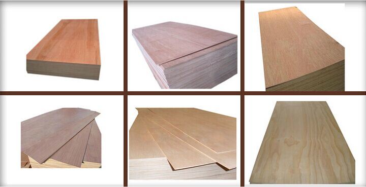 Building Materials/Timber Plywood/Birch Plywood and Other Woods Products