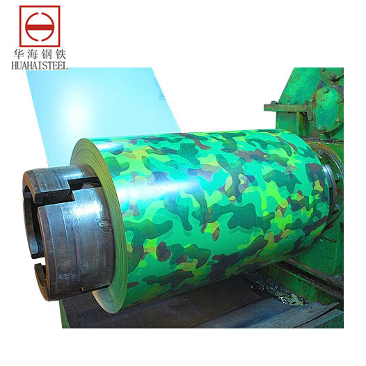 Color Galvanized Steel Coil Ral Standard