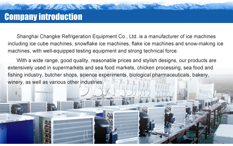 Cube Ice Machine/Water Maker Marine /Ice Machine in China
