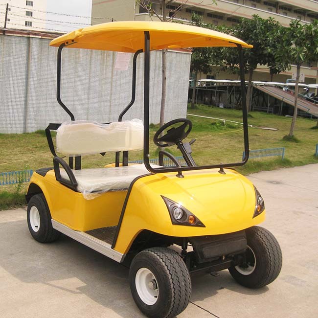 2 Seats Mini Golf Cart for Sale with Ce Approved (DG-C2)