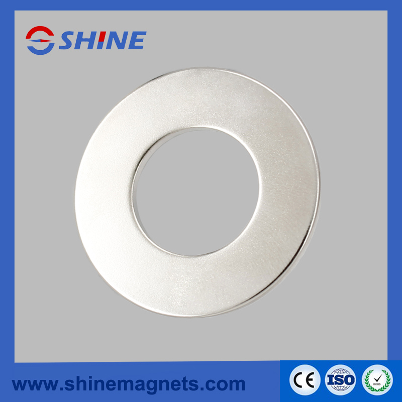 Sintered Rare Earth Neodymium Ring Magnet for Loudspeaker