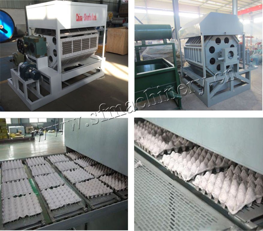 New Waste Paper Egg Tray Machine Line for Making Egg Plates 30trays