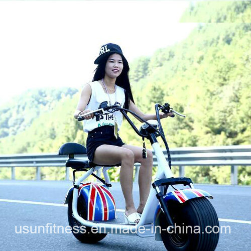 Newest Two Seat Electric Scooter 2 Wheel Fat Tyre Citycoco with Double Removable Battery