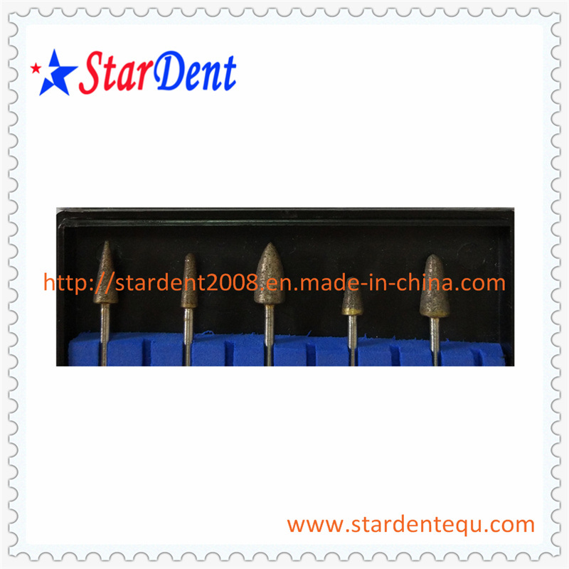 Dental Lab Sintered Diamond Burs of Surgical Medical Instrument