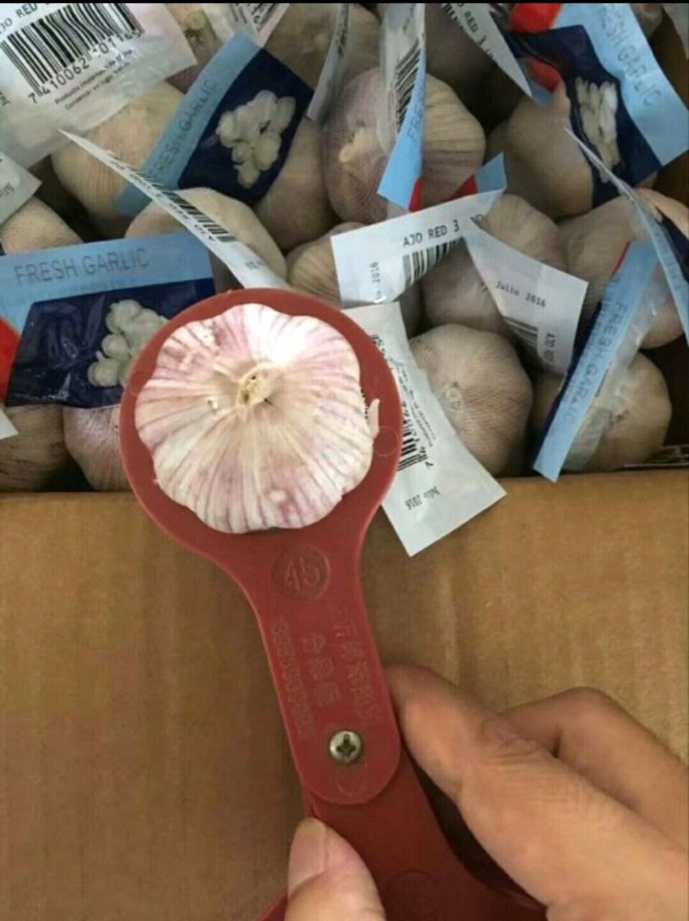 Natural Fresh White Garlic Wholesales Natural Fresh White Garlic Wholesales