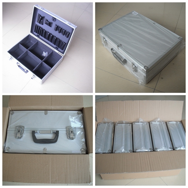 Customized Aluminum Gun Case in Carry Storage Case with Handle