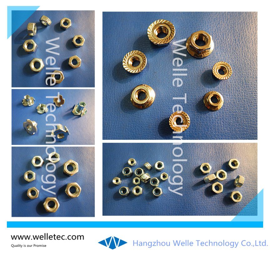 Hexagonal Nuts, Cap Nuts, Welding Nuts, Square Nuts, Nylon Nuts, Flange Nuts, Wing Nuts, K-Nuts, Customized