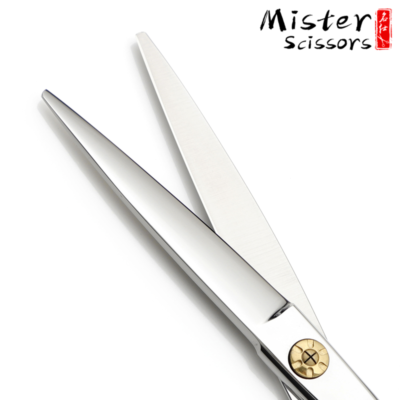 Haarschneidende Friseurschere Hair Cutting Barber Scissor