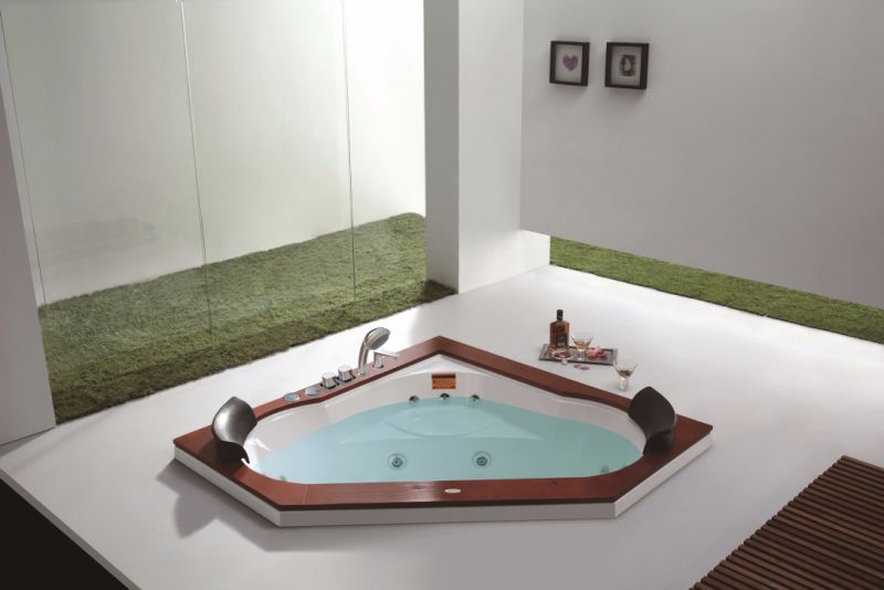 Distinctive Hydromassage Bathroom Bathtub (M-2035)