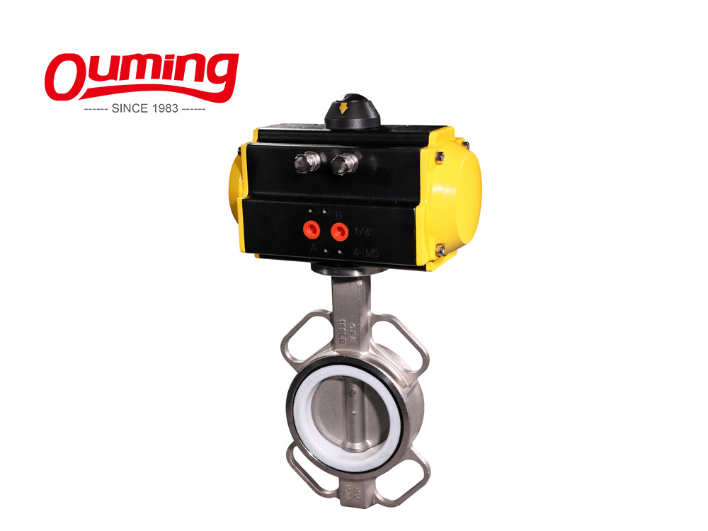 Ss Butterfly Valve CAD Drawing with High Quality Stainless Steel