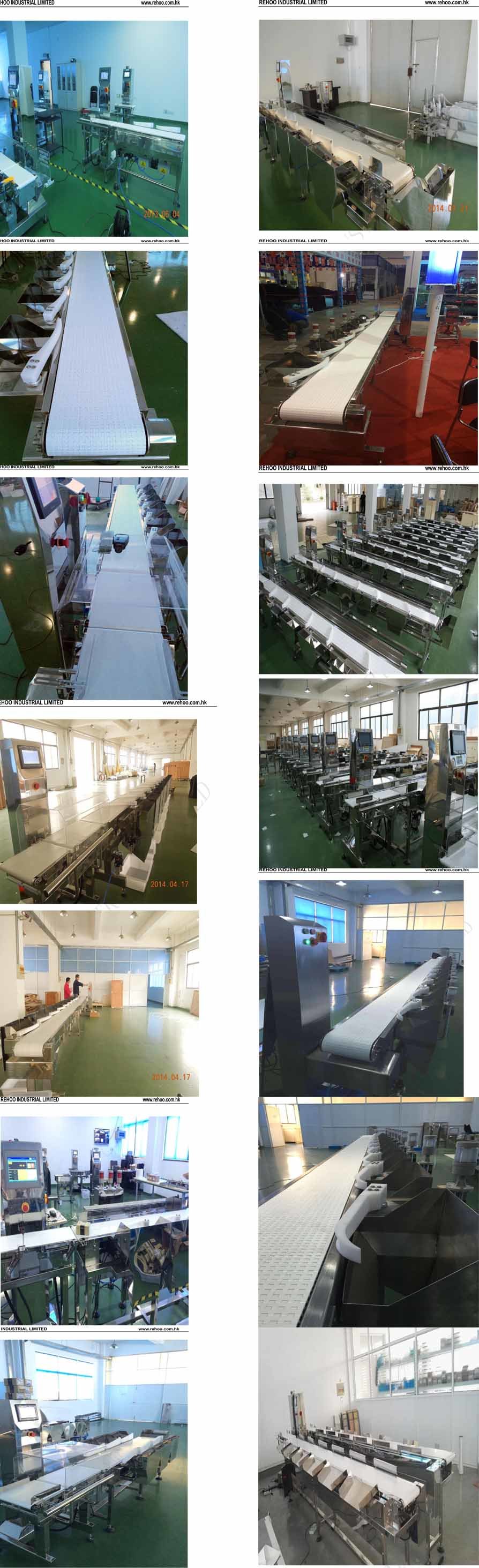 Automatic Weight Grade System/Online Weight Grading Machine/Weight Grade System/Automatic Weight Grading Machine/Weighing Grades