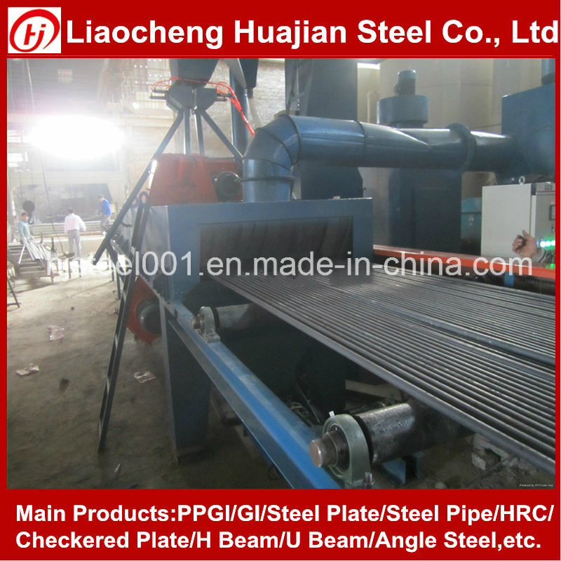 Hot Rolled Deformed Steel Bar for Construction