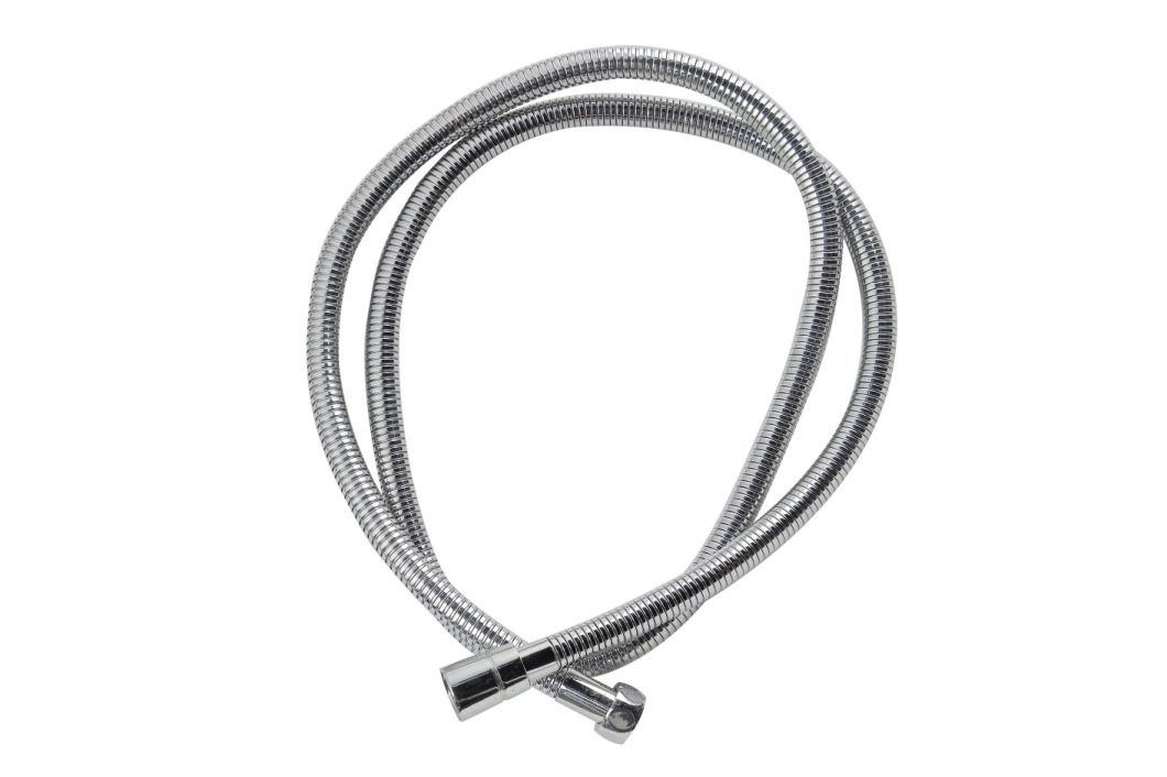 Stainless Steel Shower Hose in Plumbing Hardware Shower Accessories 3057