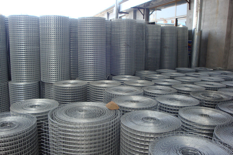 High Quality Welded Wire Mesh in Low Price