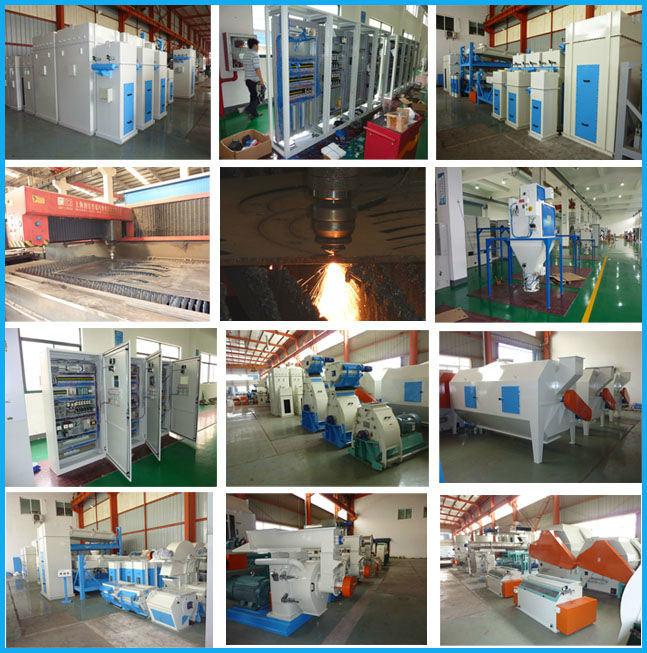 Small Size Carp Fish Feed Pellet Production Line