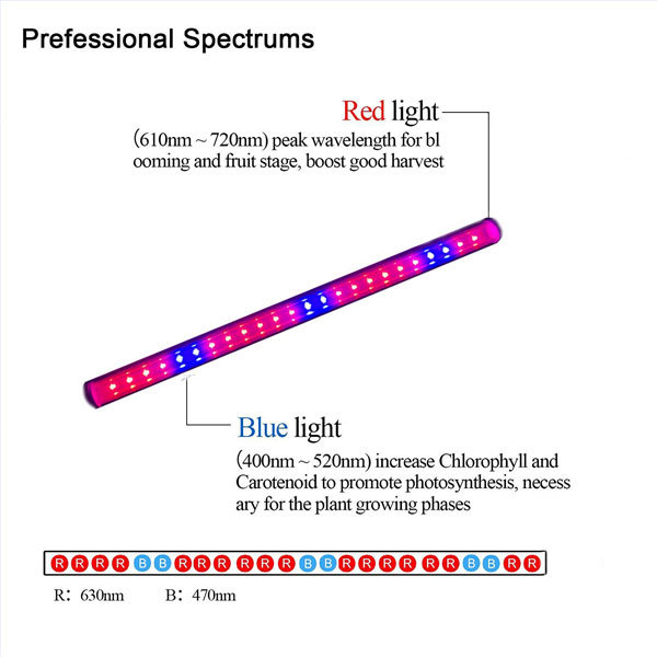 RGB Red Blue Full Spectrum T8 T5 Plant LED Grow Light Tube