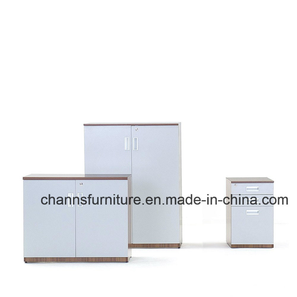 China Furniture Two Doors Office Wooden Cabinet (CAS-FC1802)